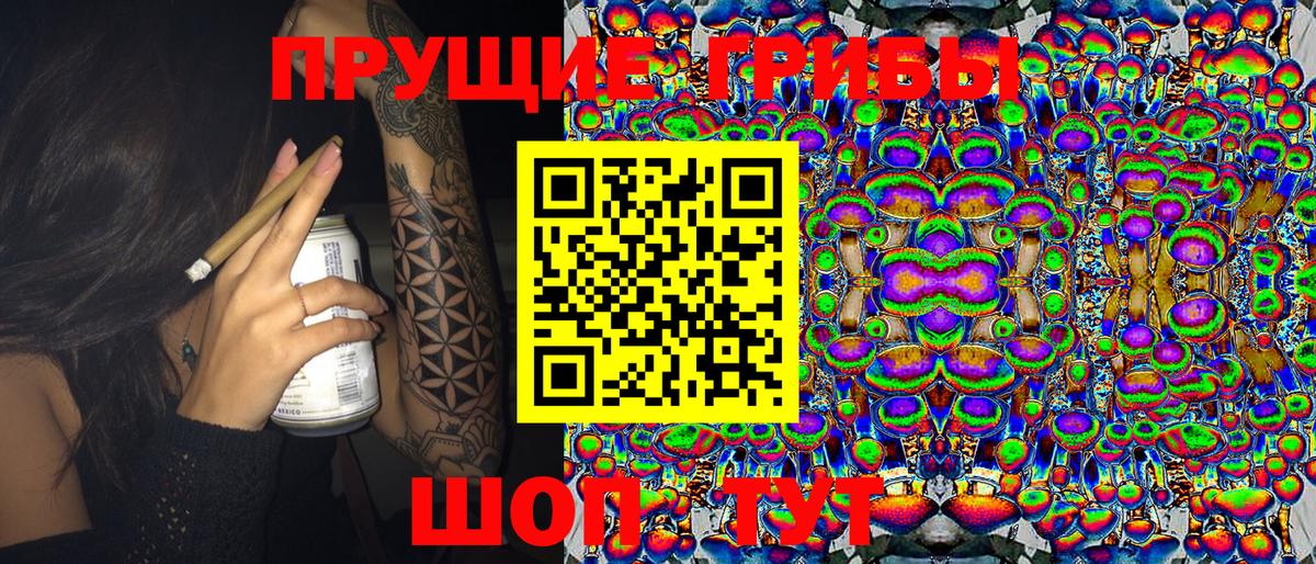 где продают   Галлюциногенные грибы ЛСД  Галлюциногенные грибы Psilocybine cubensis  Вход с VPN  Грязи 